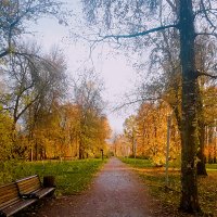Осень в Захаровском парке :: Сергей Кочнев Осень в Захаровском парке :: Сергей Кочнев
