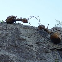 Планёрка на скале :: Серж Show