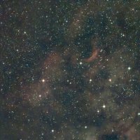 Без названия :: serg 