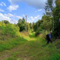Дорога к реке :: Мария Васильева