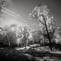 *** :: Сергей Григорьев