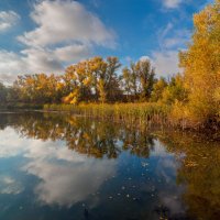 Природный парк Волго-Ахтубинская пойма. :: Дина Евсеева