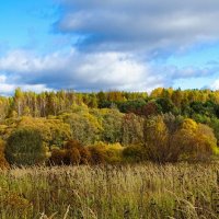 Осенний пейзаж. :: Милешкин Владимир Алексеевич 
