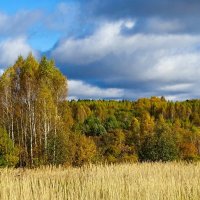 Осенний пейзаж (репортаж из поездок по области). :: Милешкин Владимир Алексеевич Осенний пейзаж (репортаж из поездок по области). :: Милешкин Владимир Алексеевич