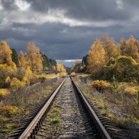 дорога в осень :: Galina 