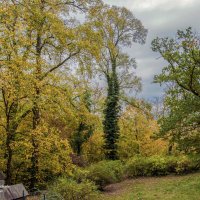 У стен замка Мариенбург :: Светлана Ищенко У стен замка Мариенбург :: Светлана Ищенко