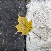 Осенние зарисовки :: Валерий Иванович Осенние зарисовки :: Валерий Иванович