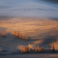 Утро в Курайской степи :: Sergey38 