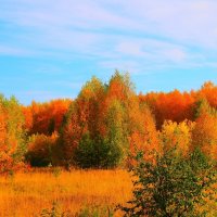 осень :: Владимир иванов