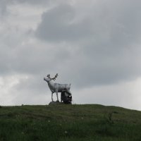 Академический :: Елена Шаламова