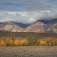 * :: Александр Иванов