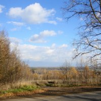 тополь облетел... :: Галина Флора