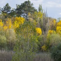 Осень золотая :: Валентин Семчишин
