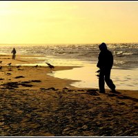 Вечерний променад... :: Aleksandr Gal