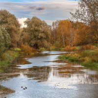 Павловск :: skijumper Иванов