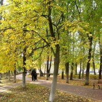 Осенними аллеями :: Елена Семигина Осенними аллеями :: Елена Семигина