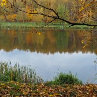 Осенний Сюжет :: юрий поляков