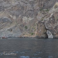 Природа Крыма :: Amazing Cosmea