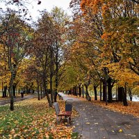 Дождь затих , и народ домой подался ! В том числе и я,,, :: Анатолий Колосов
