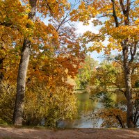 *** :: Геннадий Порохов *** :: Геннадий Порохов