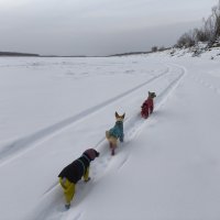 На протоке :: Anna Ivanova