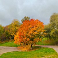 Краски осени :: Галина Бобкина