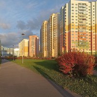 Осень в нашем ЖК, :: Лилия *