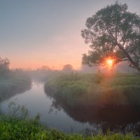 葉隱  Хагакурэ «Сокрытое в листве» :: Roman Lunin