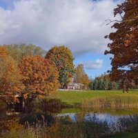 Оттенки октября .. :: Татьян@ Ивановна