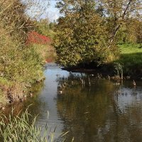 осень :: ИННА ПОРОХОВА