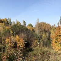 Осень, осень :: Лариса Корж Осень, осень :: Лариса Корж