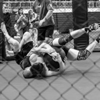 Борьба за мяч :: Александр 