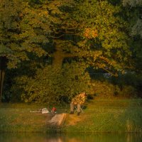 Рыбак :: Алексей Булак