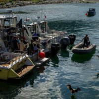 ... :: Жора Житников