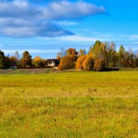 Картинка золотой осени. :: Милешкин Владимир Алексеевич 
