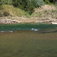 27 сентября, река Уруп :: Игорь Сикорский