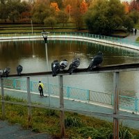 Нахохлились голуби, исчезли солнечные дни. :: Татьяна Помогалова Нахохлились голуби, исчезли солнечные дни. :: Татьяна Помогалова