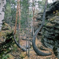 В горах листопад :: Георгиевич В горах листопад :: Георгиевич