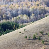 На склоне :: Галина Ильясова