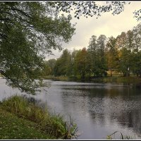 *** :: Aleksandr Gal