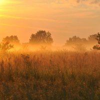 Туман :: Владимир Зыбин Туман :: Владимир Зыбин