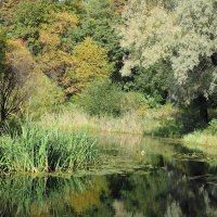 Картинки осени :: Рита Симонова Картинки осени :: Рита Симонова