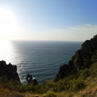 Природа Крыма :: Amazing Cosmea