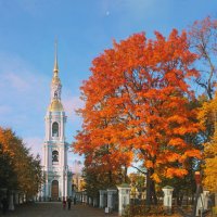 *** :: Сергей Григорьев