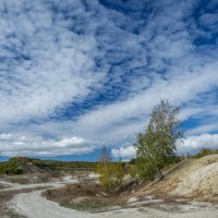 Осеннее небо :: Наталья Димова