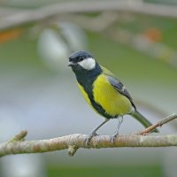 долговязый принц... :: Andrey Bragin долговязый принц... :: Andrey Bragin