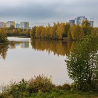 Речка в парке :: Александр Синдерёв