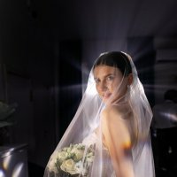 Невеста :: Марина Демченко