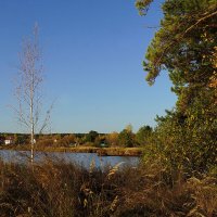 В октябре на озере :: Галина Кан В октябре на озере :: Галина Кан