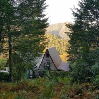 Пластунка :: Tata Wolf